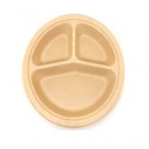 Plato 10